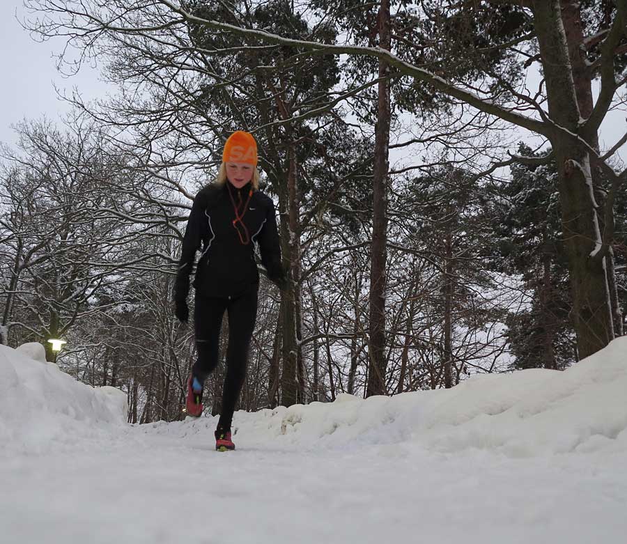 lop_vinter lop_vinter - Backintervaller i Icebug