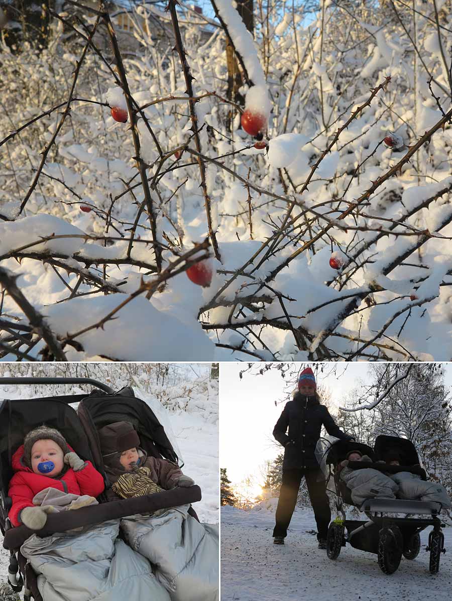 vinterprom2012 vinterprom2012 - Min 1a advent i bilder