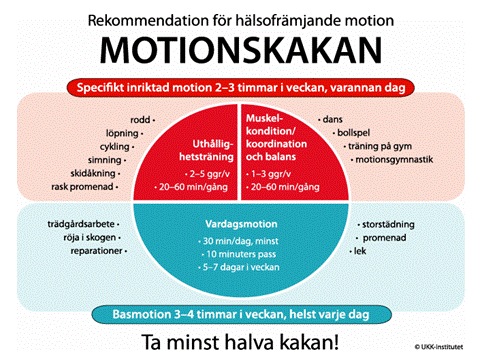 motionskakan motionskakan - Vardagsträning