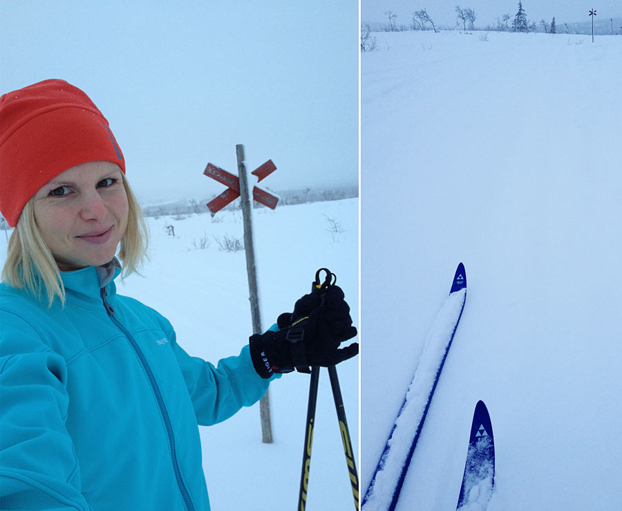 skidor_fjall skidor_fjall - Skidteknik och röding