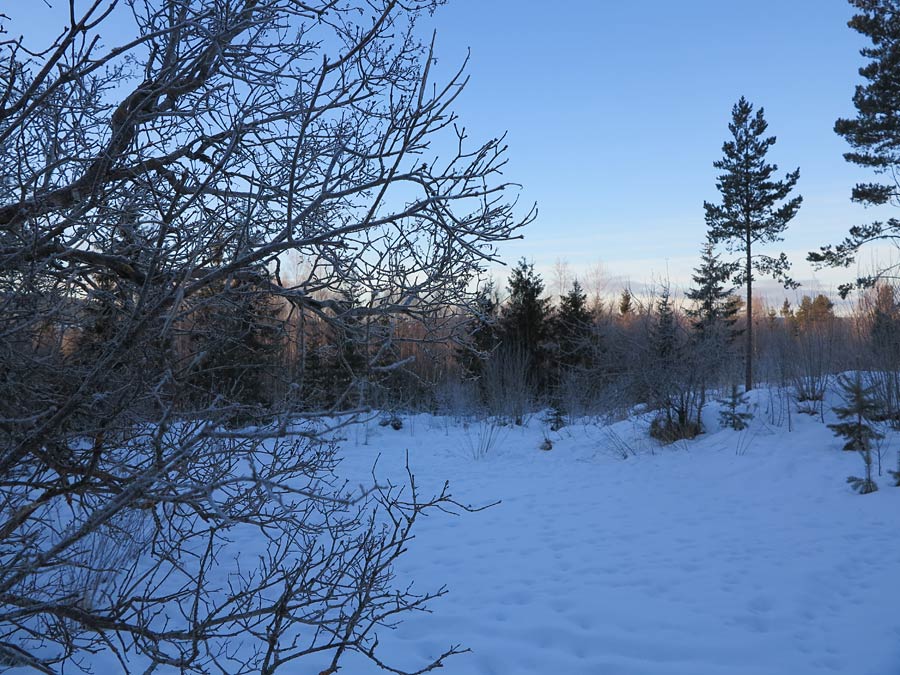 dalarna_vinter dalarna_vinter - Kvalite
