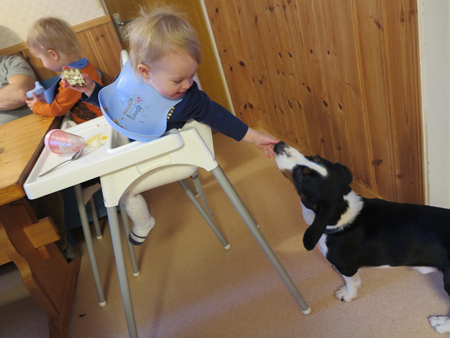 jonna_sigge jonna_sigge - Kvalite