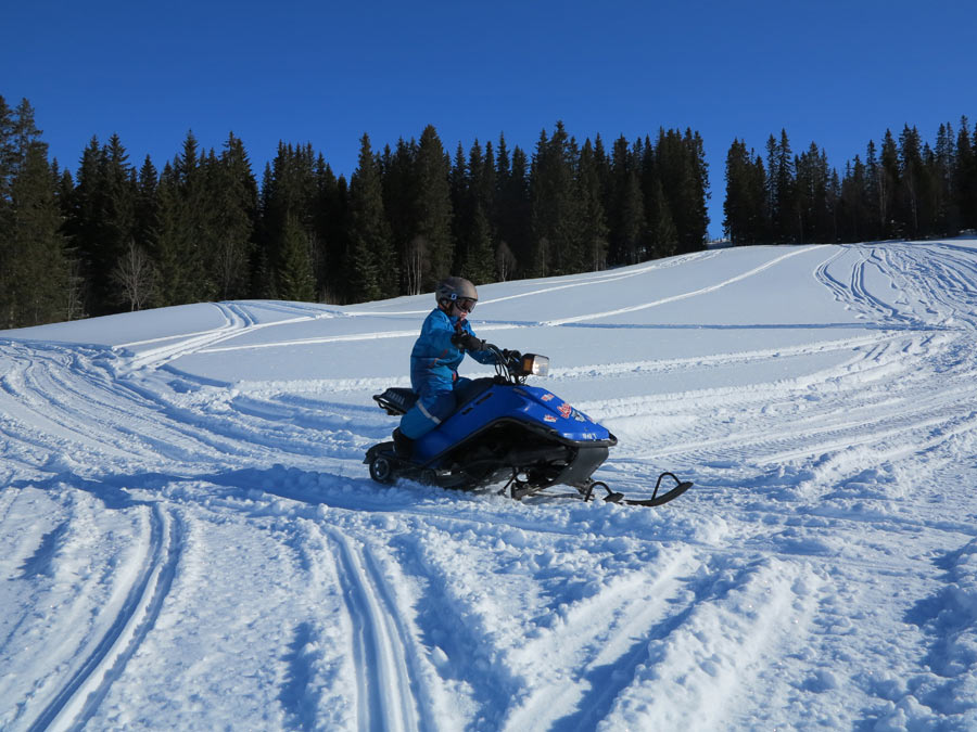 miniskoter miniskoter - Norröna i vårvintersol
