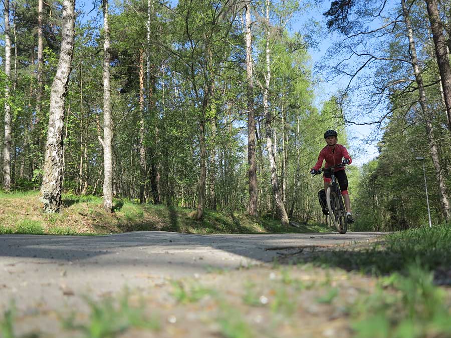 cykl_lilja1 cykl_lilja1 - Vinnande konceptet