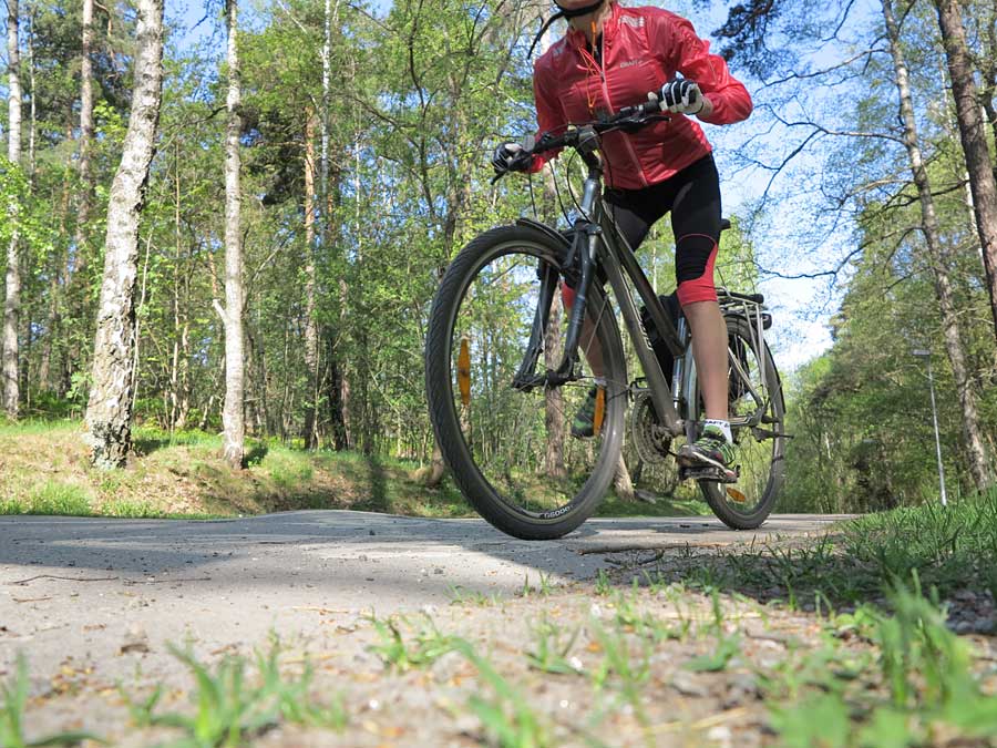 cykl_lilja2 cykl_lilja2 - Vinnande konceptet