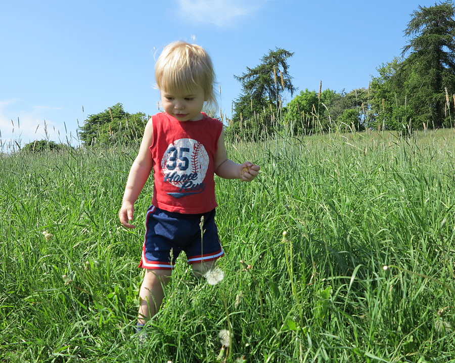 6juni_2 6juni_2 - Livskvalite