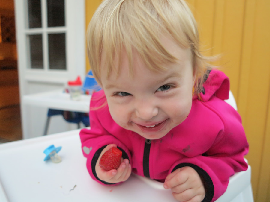 jonna_jgubbe jonna_jgubbe - Otraditionell midsommar -bildkollage