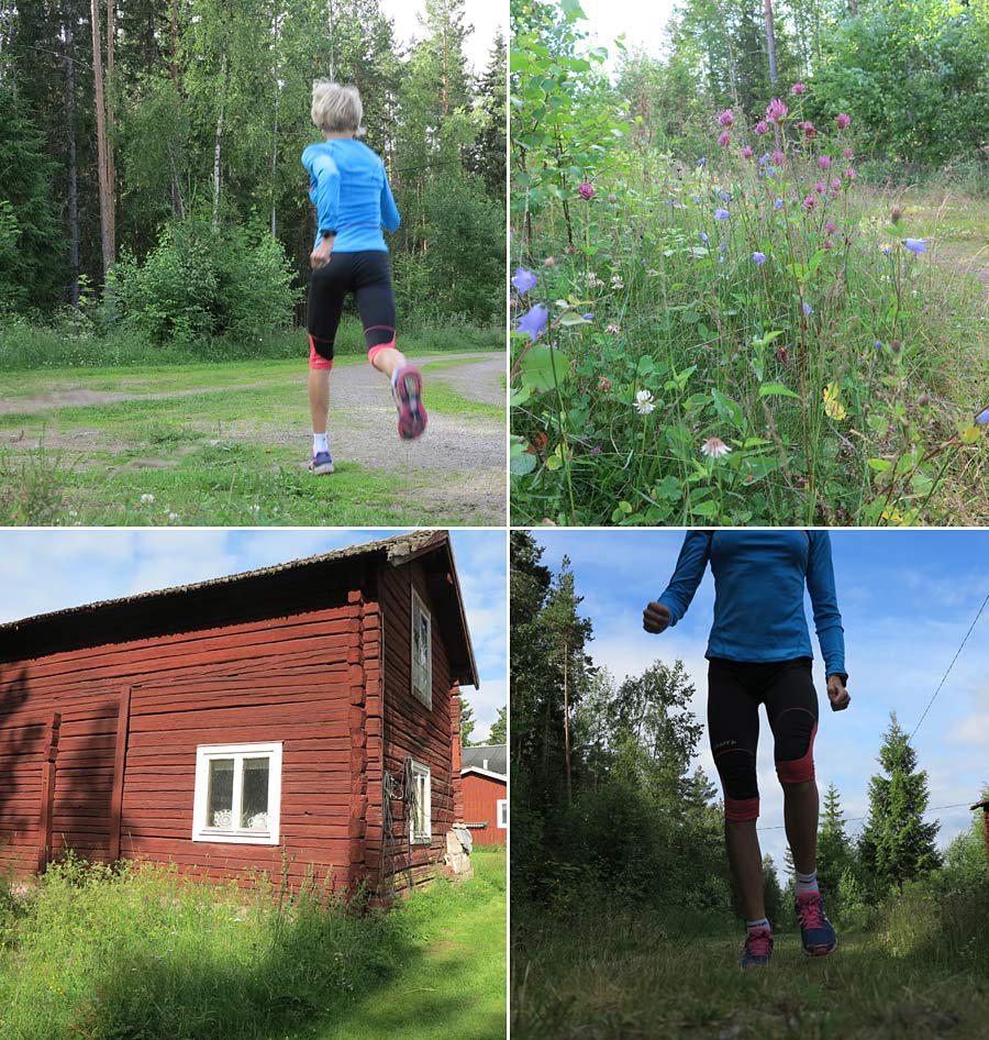 dalasommar13_3 dalasommar13_3 - Klassikerben och pannben