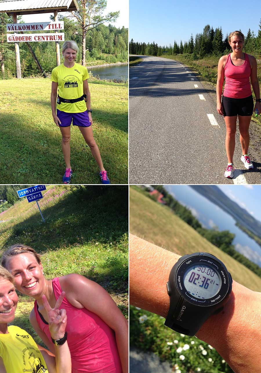 gd-jorm gd-jorm - Gäddede till Jorm