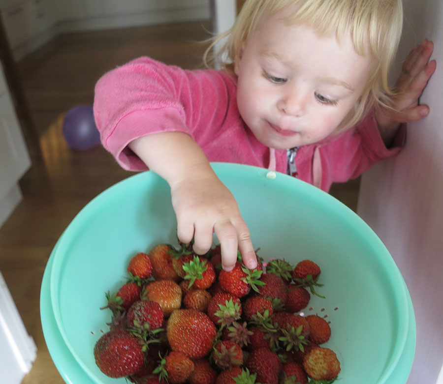 jonna_jordg_jorm jonna_jordg_jorm - Söta röda bär