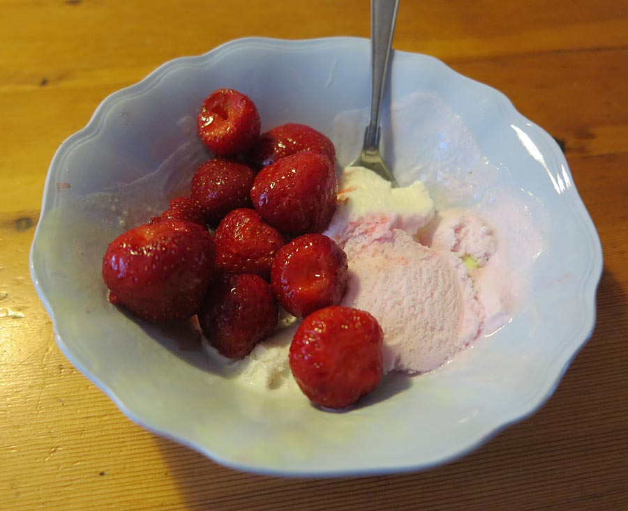 jordg_glass jordg_glass - Måltider en sommardag