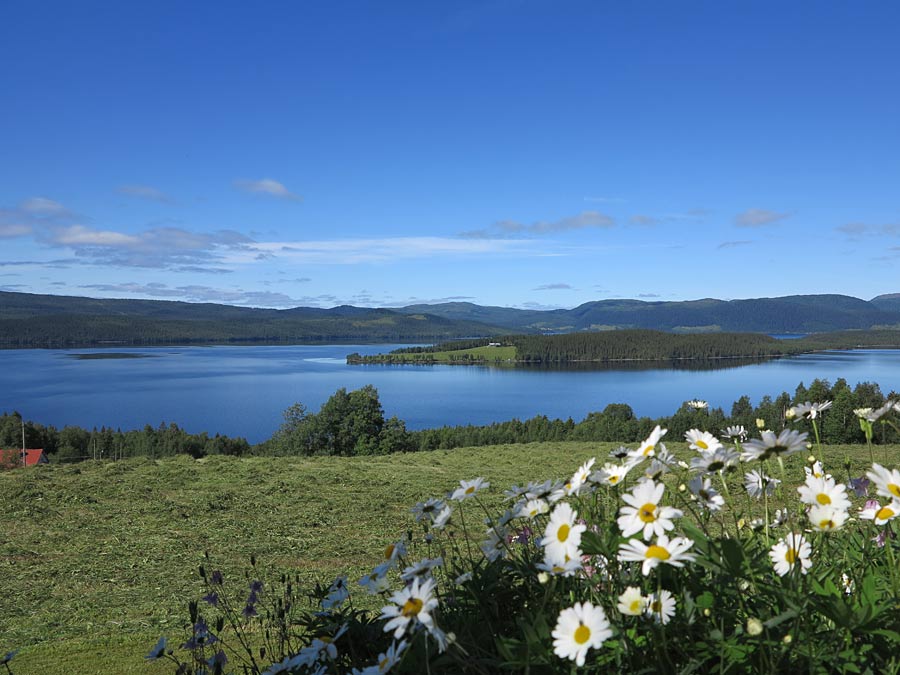 jorm_sommar jorm_sommar - Paradiset