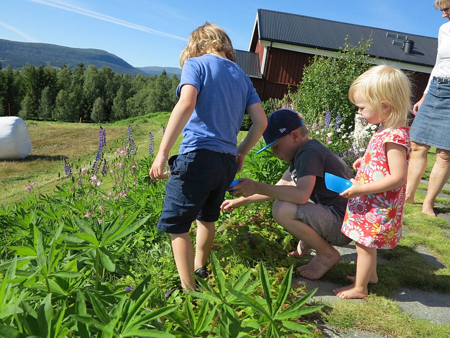 smultronbarn smultronbarn - Best of Jorm