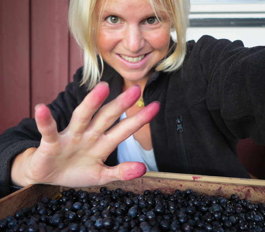 blabar3 blabar3 - Rikt liv