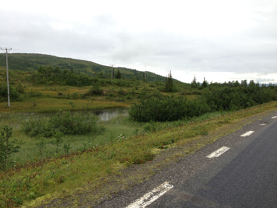 blasjofjall1 blasjofjall1 - Fjäll-långpass i regn