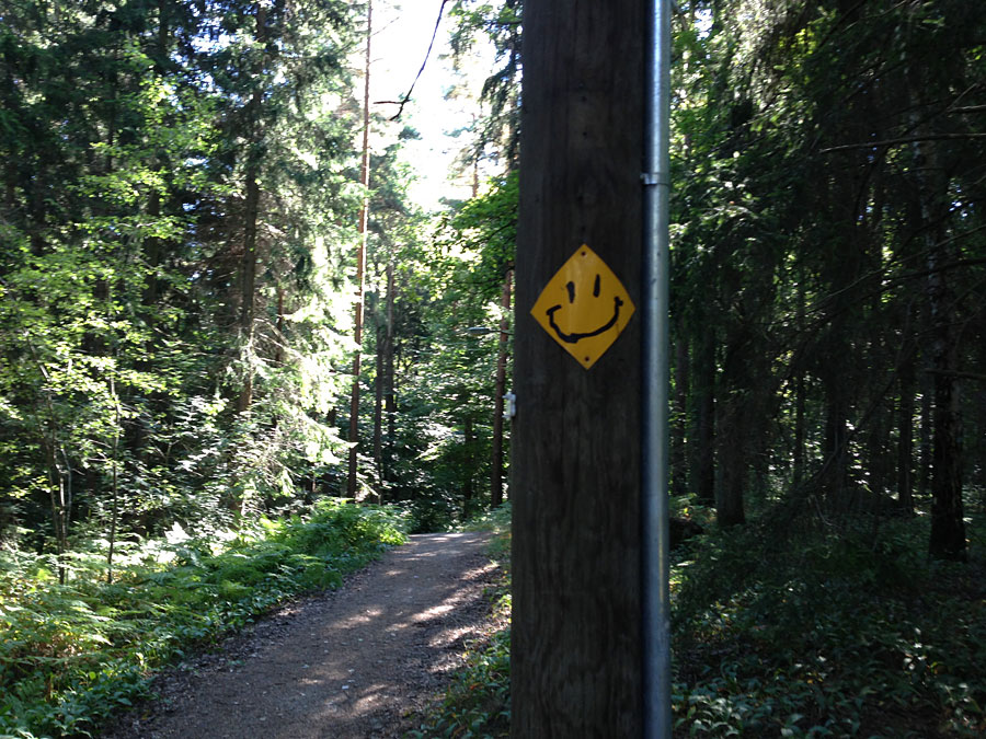 gladgubbe gladgubbe - Planeringstips inför löplopp