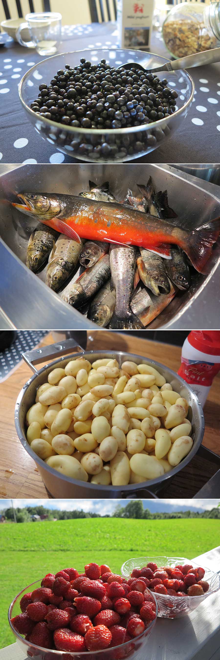 jormmat_lyx jormmat_lyx - Rikt liv