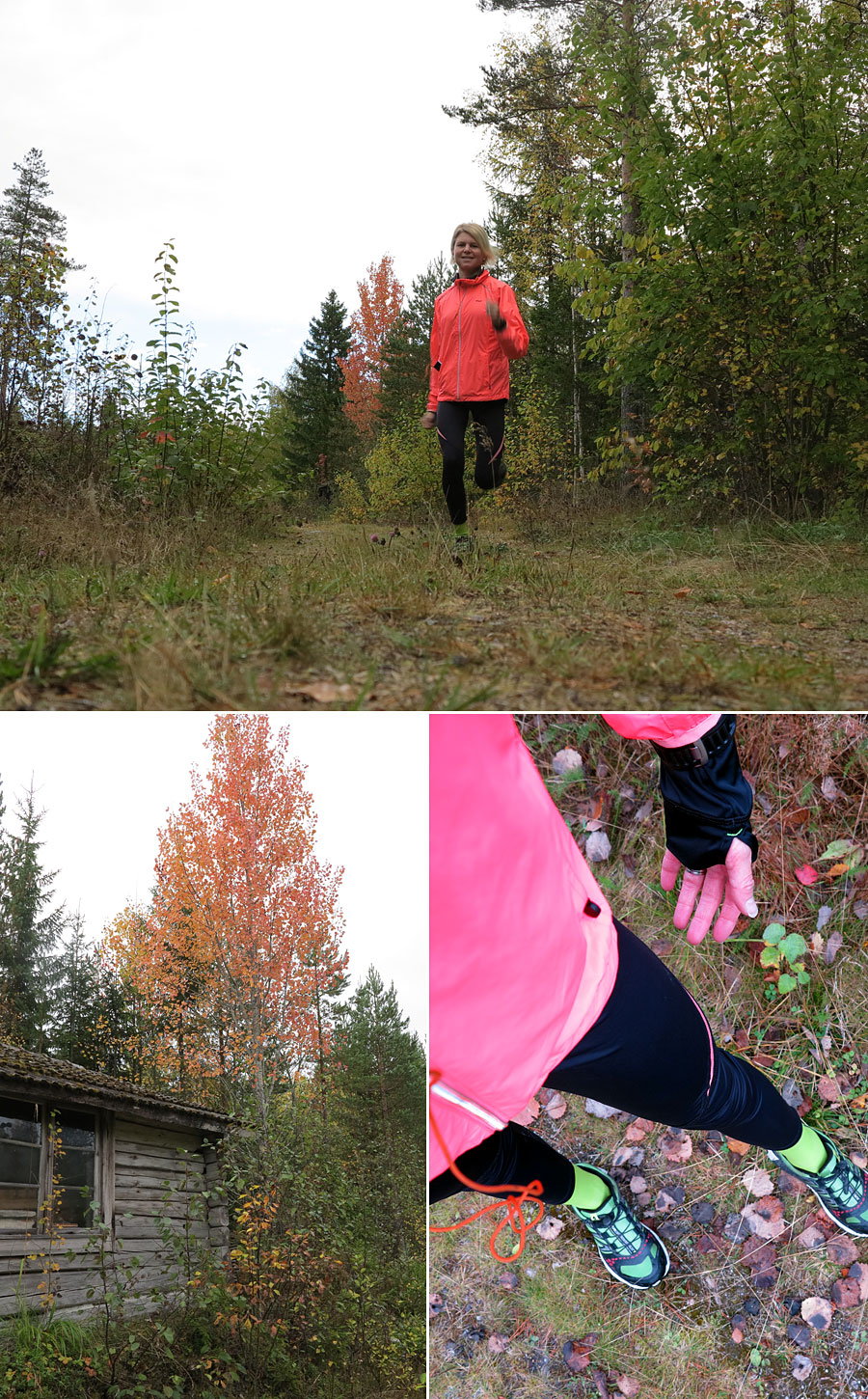 hostlopn hostlopn - Långa intervaller i lysande höst