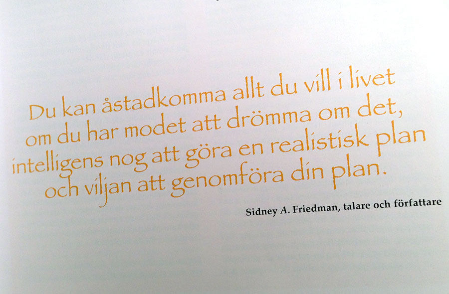 insikt insikt - SOV mer (med boktips)