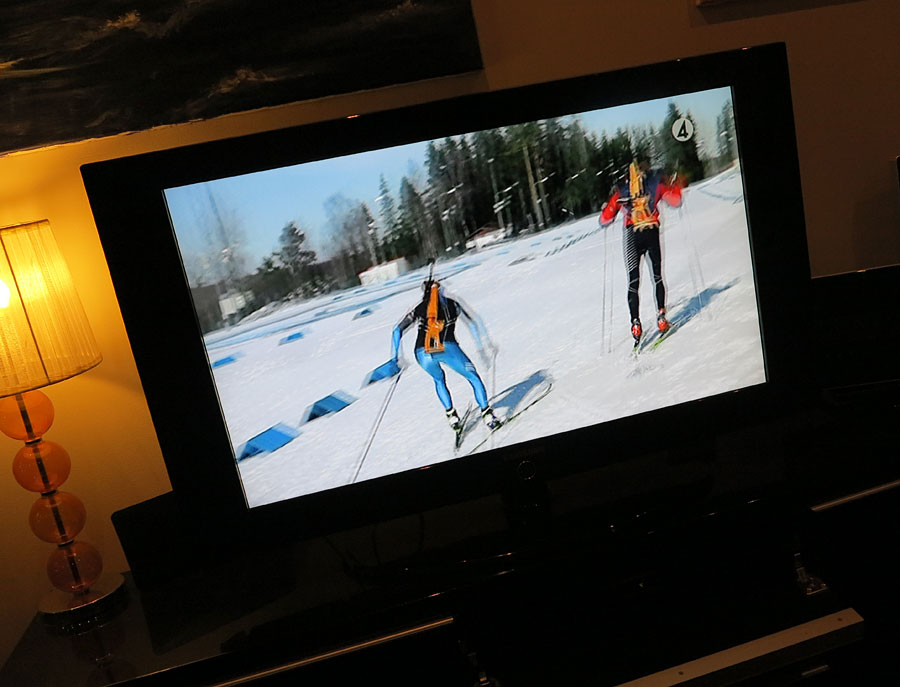 tv_skid tv_skid - I huvudet på Gunde Svan (& Anna Li)