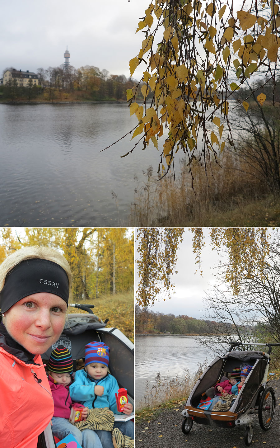 vagnlop_host vagnlop_host - Runaphy