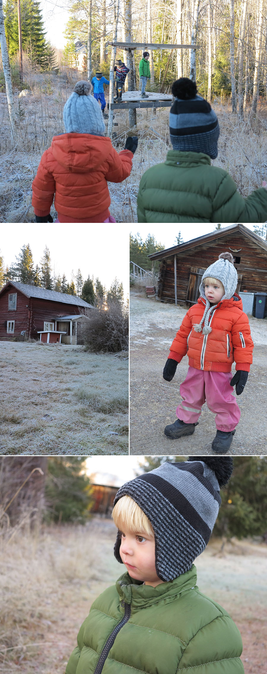 dalarna_host13 dalarna_host13 - Ny mössa i Dalafrost