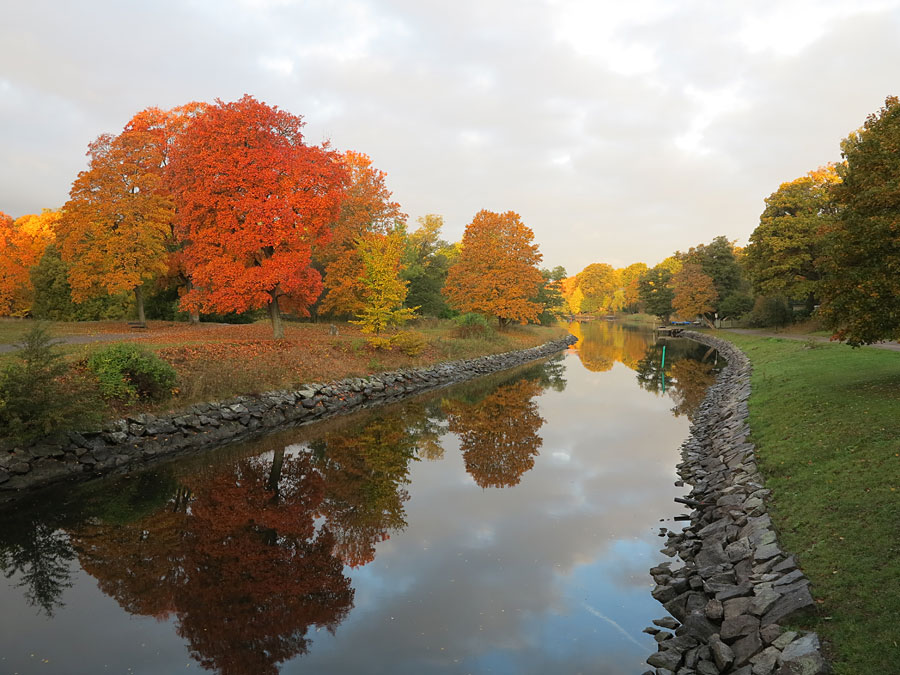 djurg_host djurg_host - Oslagbart löptips