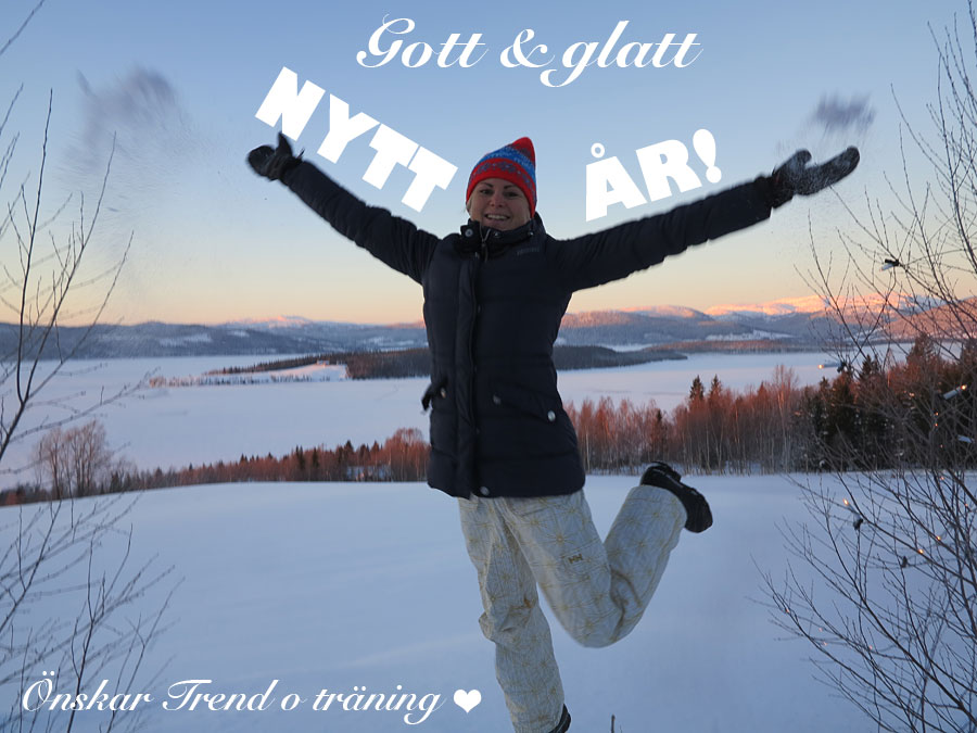 nyar2014