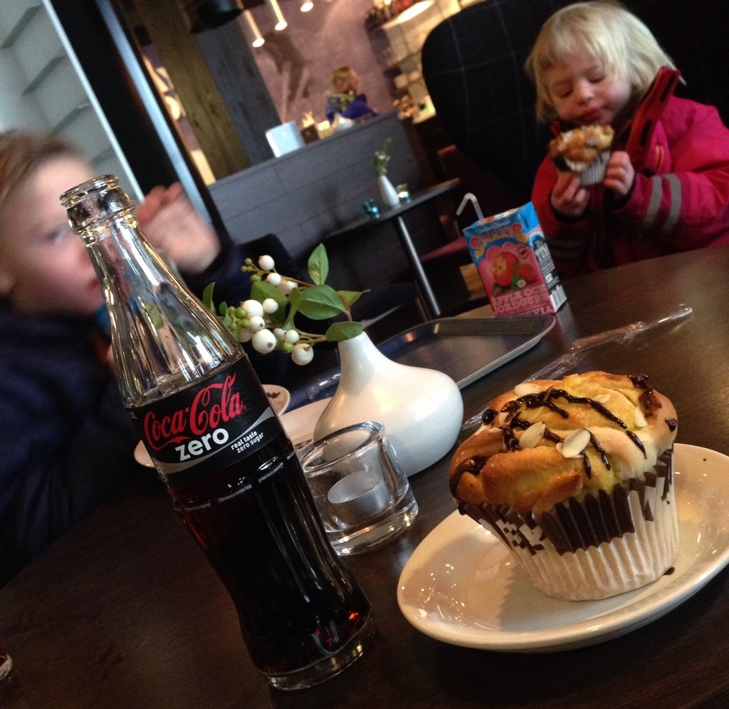 20150127-225136-82296311 - skidåkarmat