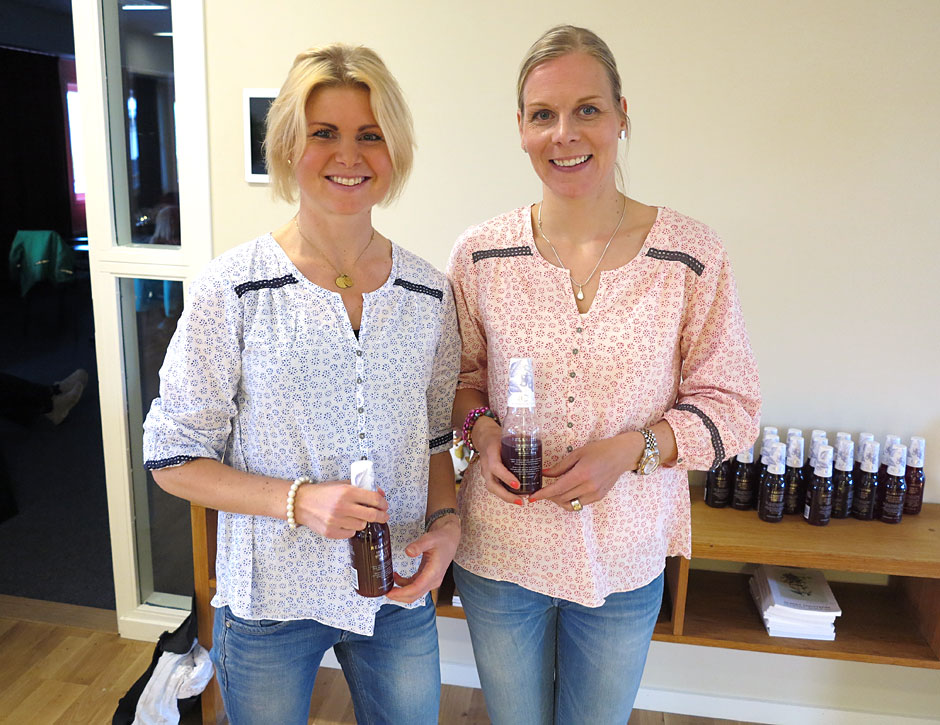 fsf_hol - Frisk & Stark Familj