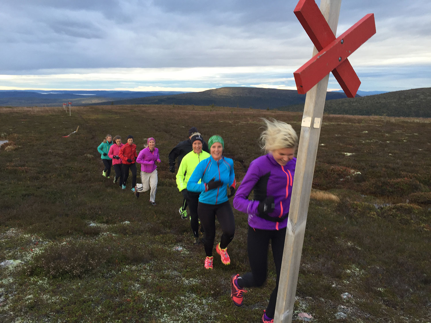 lop_fjall_halsow15 - sommarlängtan