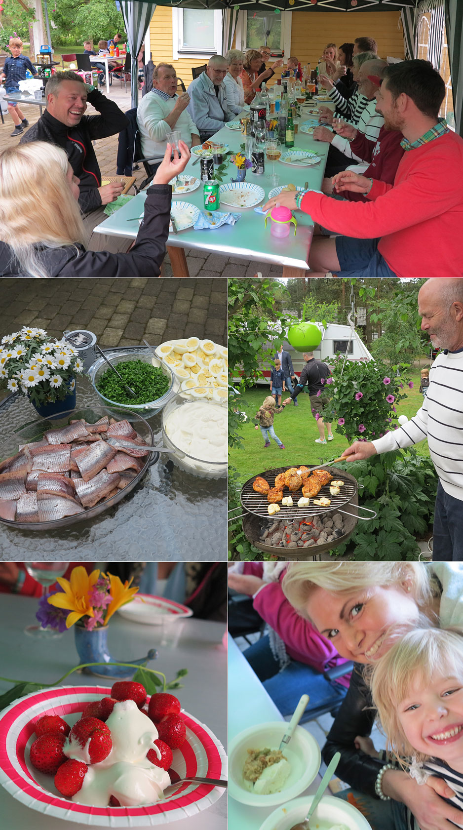 midsommarmat15