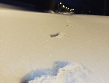 fotspar_sno