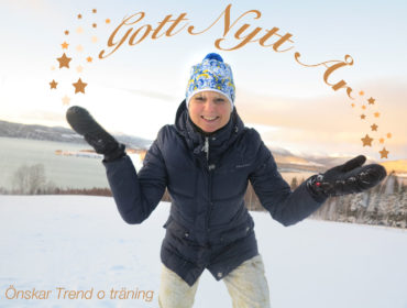 Gott nytt år /Anna Lissjanis