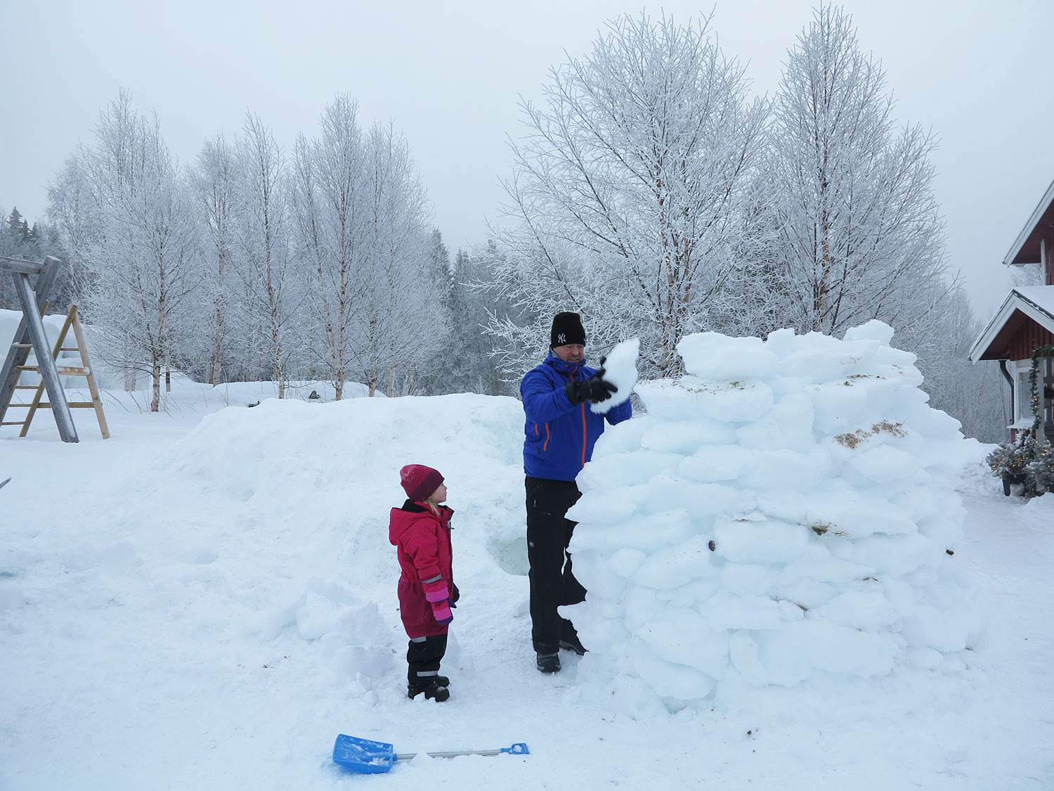Snöiglo /Anna Lissjanis