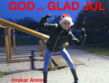 GOD JUL 2015 /annalissjanis.se