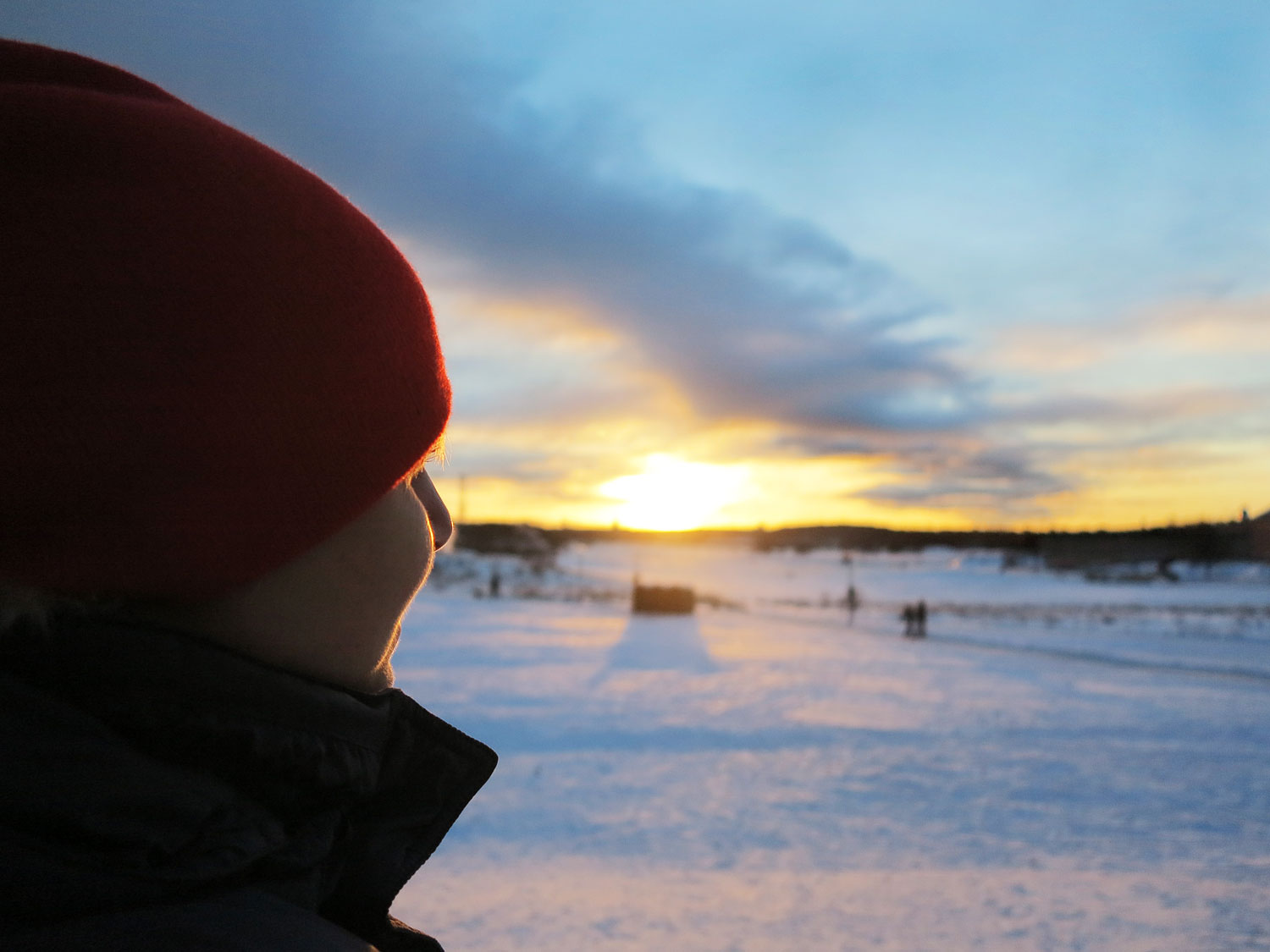 Vintermorgon på Gärdet /Anna Lissjanis