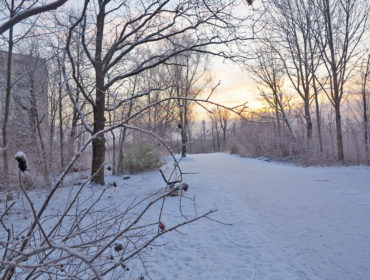 Gärdet vintern 2016/annalissjanis.se