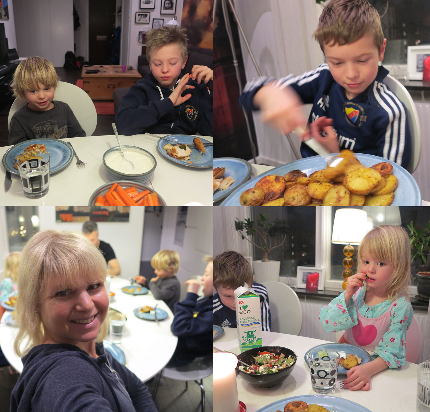 Familjemiddag Lissjanis