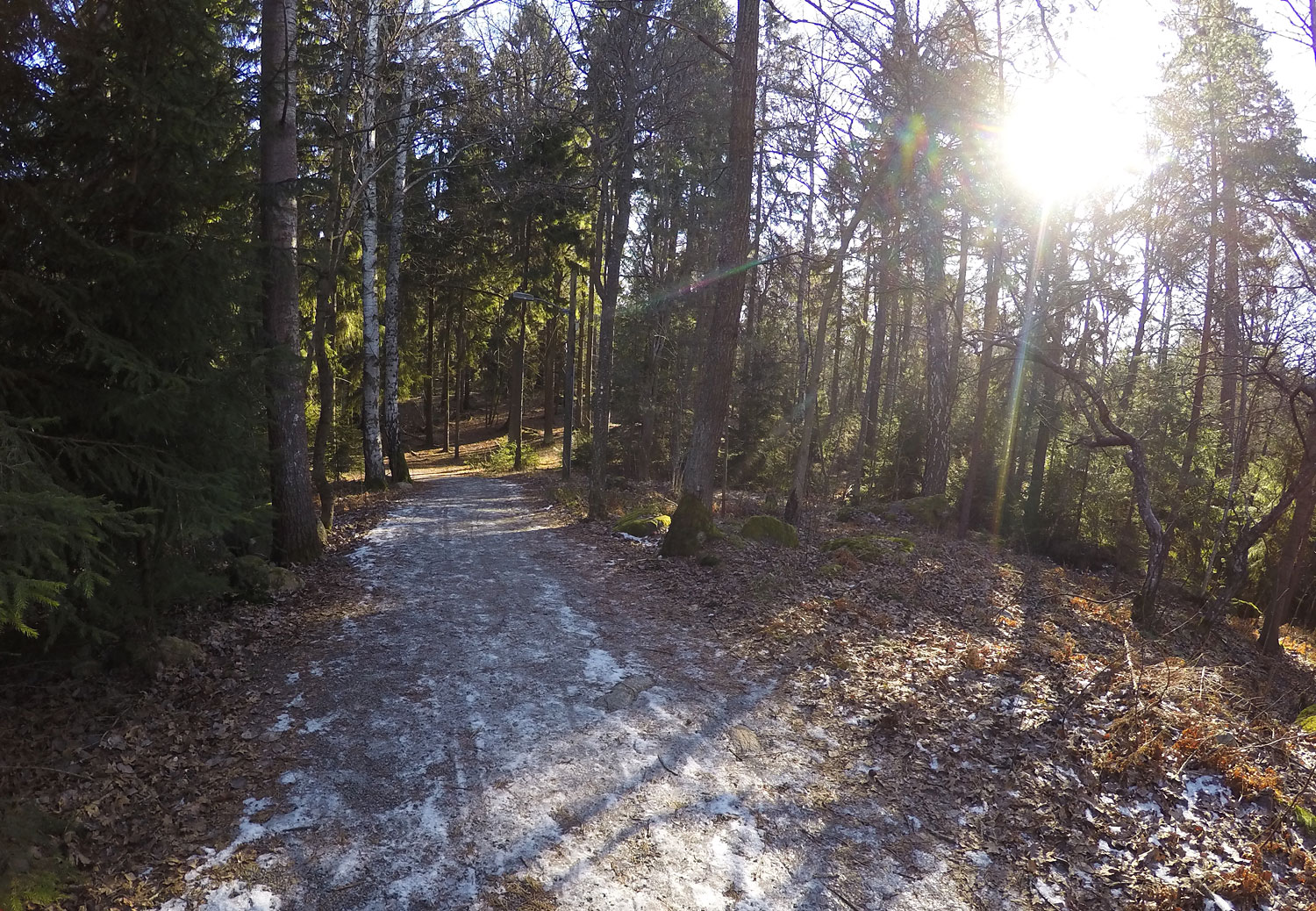 Lill-Jansskogen med is.