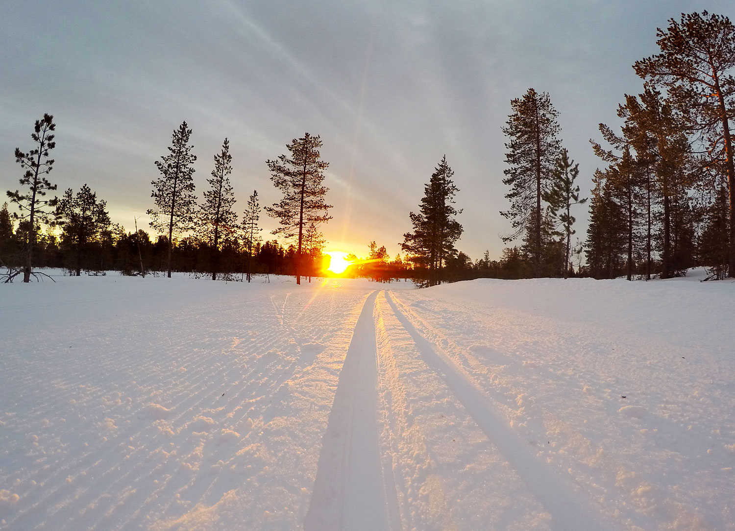 Längdskidspår, annalissjanis.se