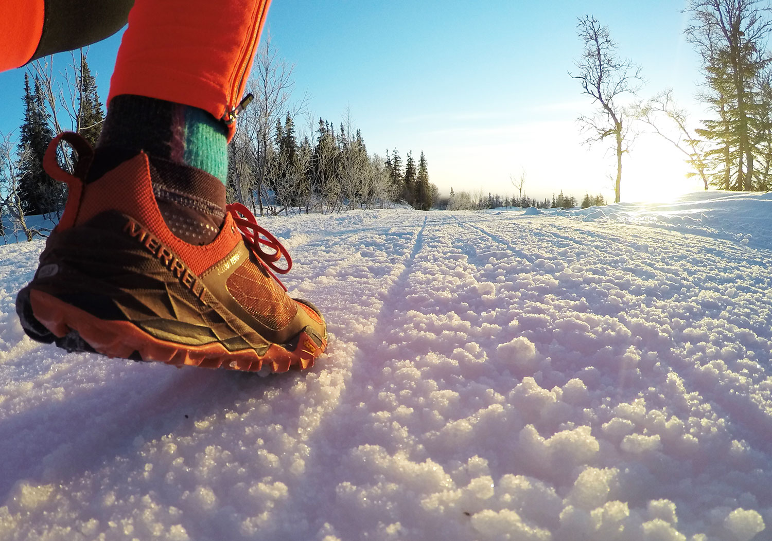 Löpsko på skoterspår /Anna Lissjanis