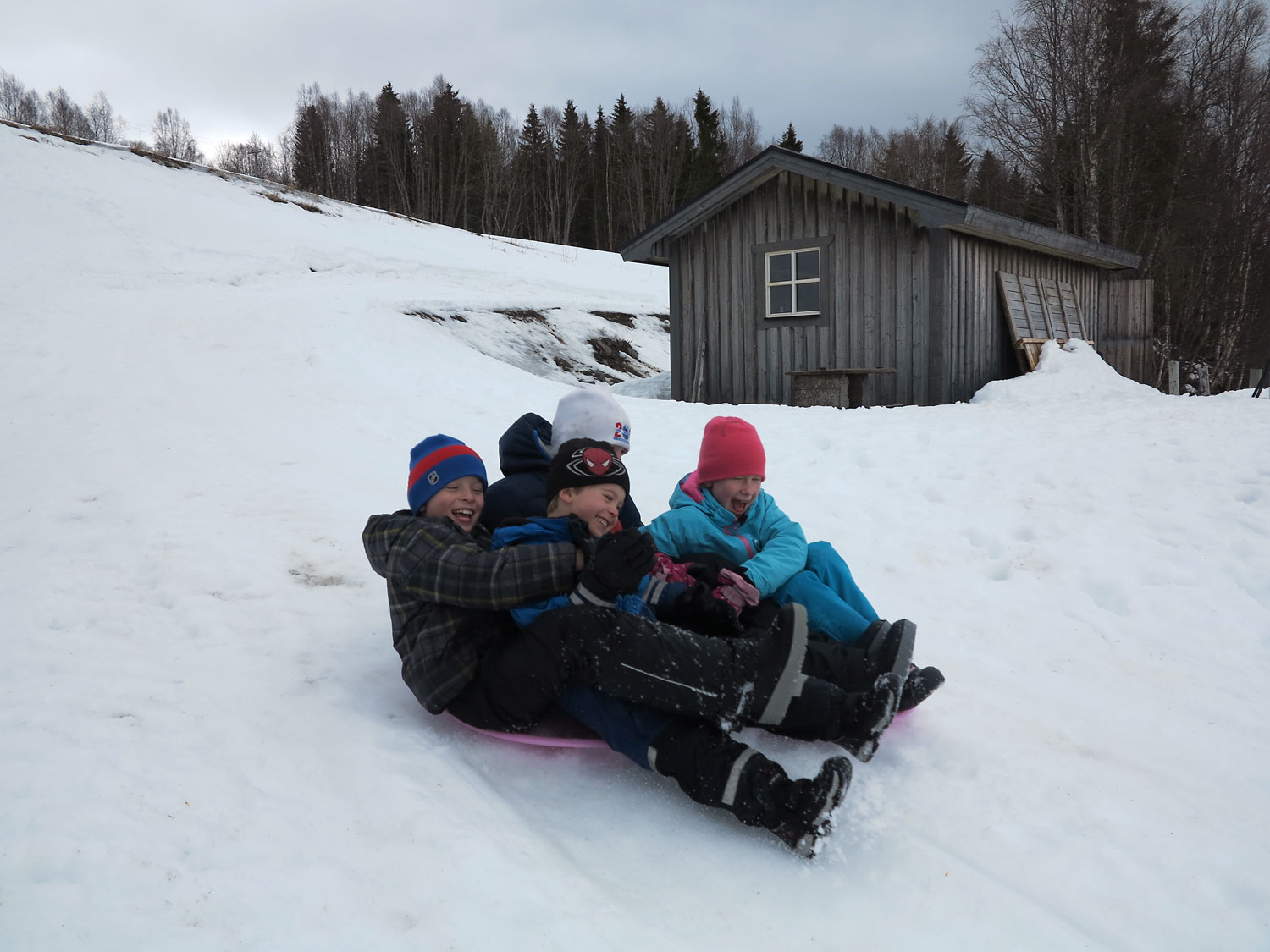 Barnen åker t-fat på snön.