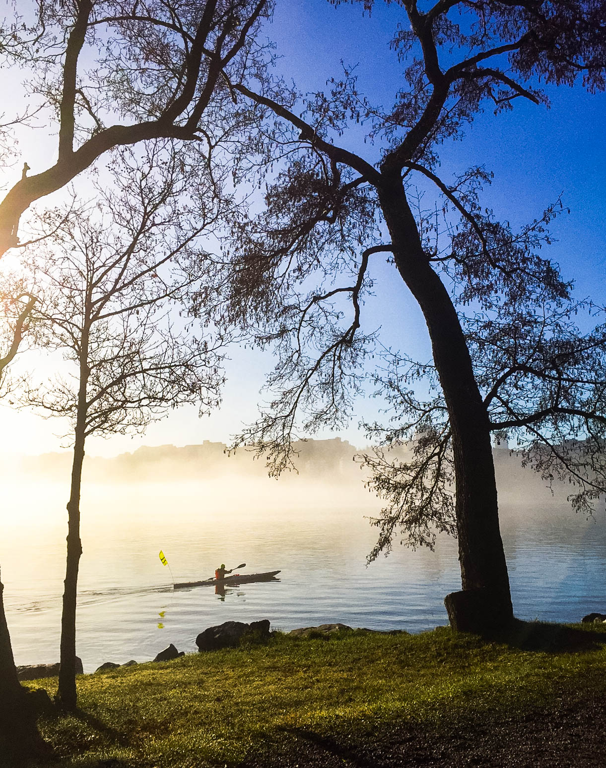Djurgården, kanotist /annalissjanis.se