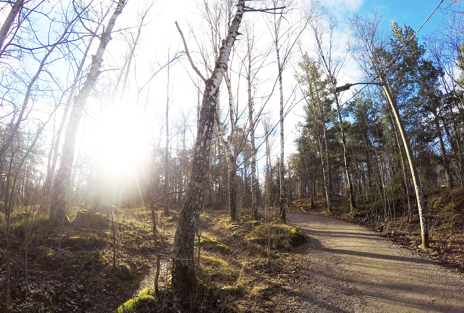 lilljansskogen_var16