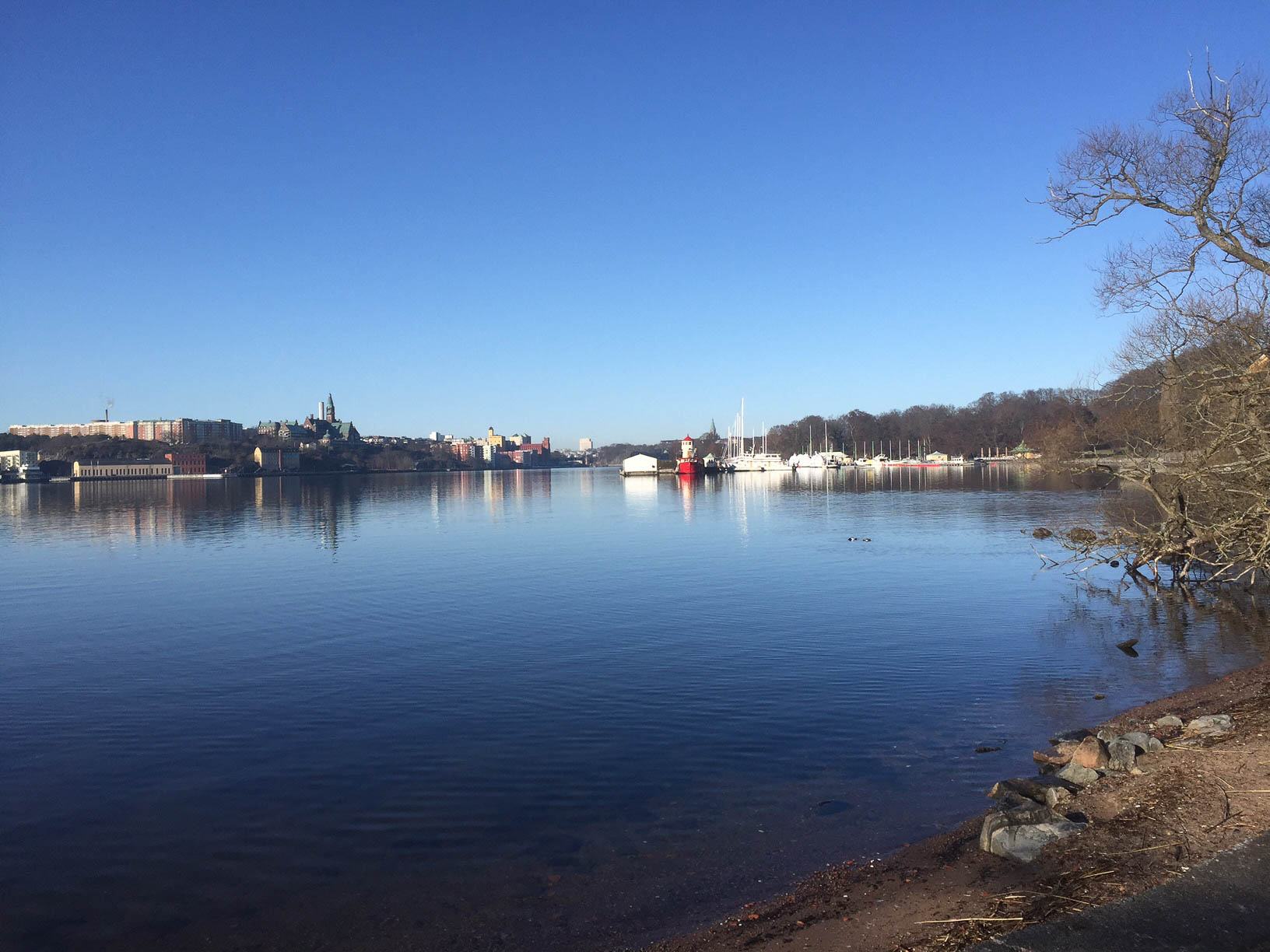 lopning_terese_djurg-5