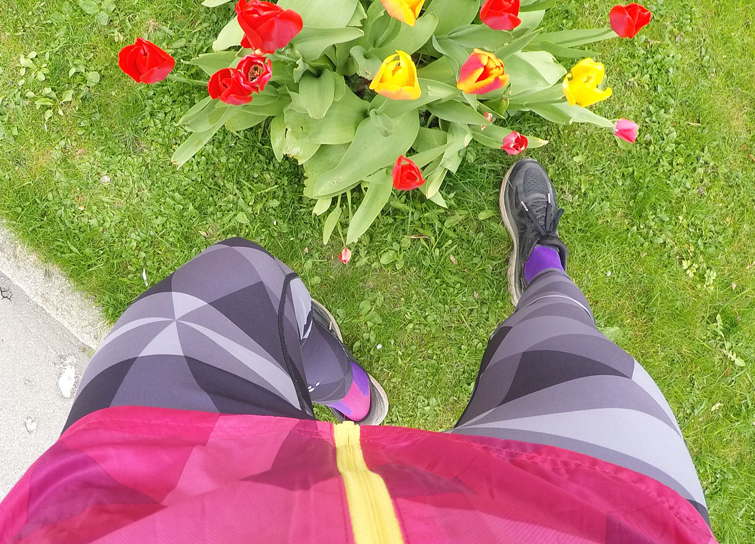 craft_pure_print_tights