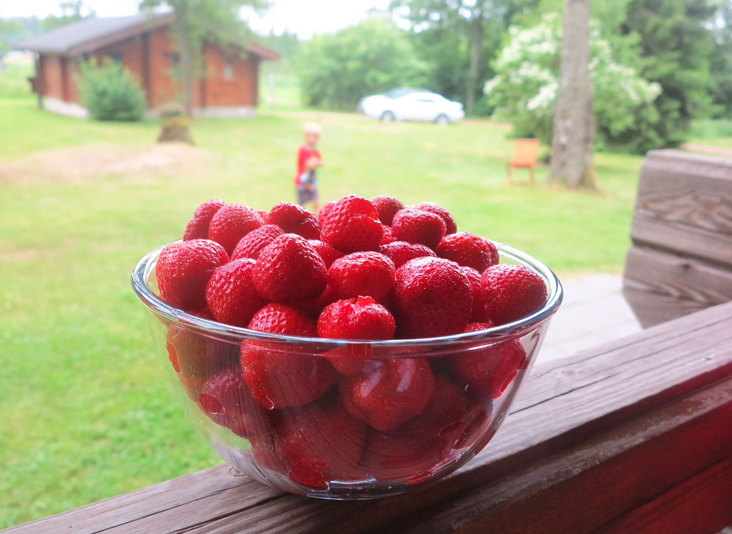 jordgubbar_aland_midsommar