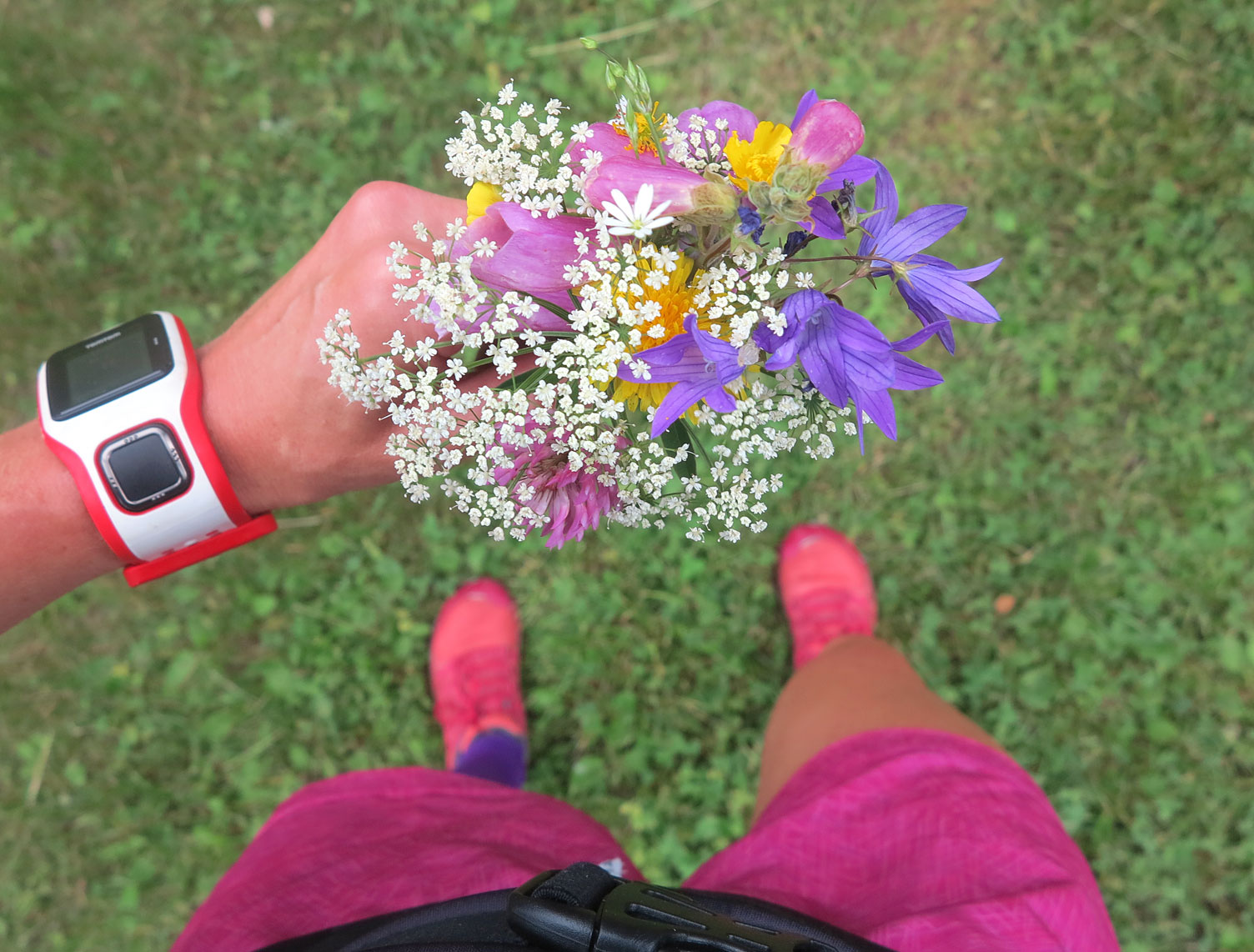 Bukett på midsommar /Anna Lissjanis