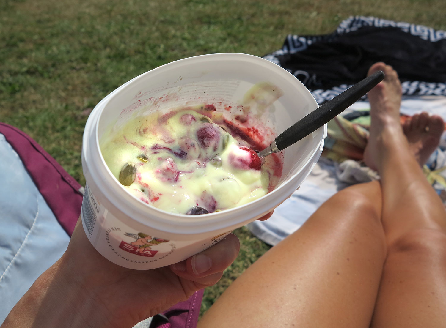 chiapudding_rora_sol